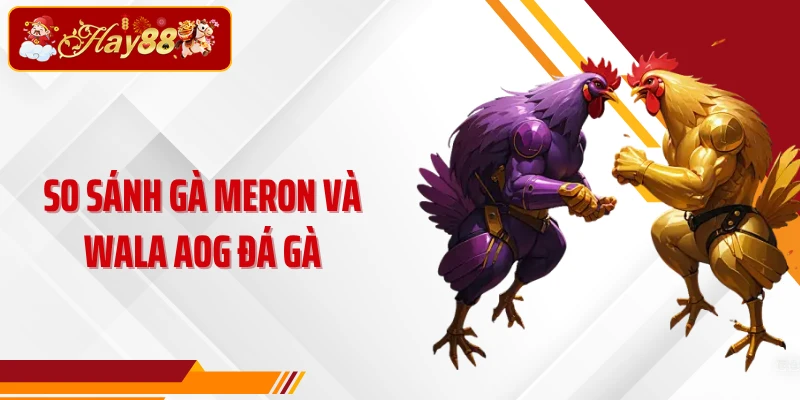So sánh gà Meron và Wala AOG đá gà